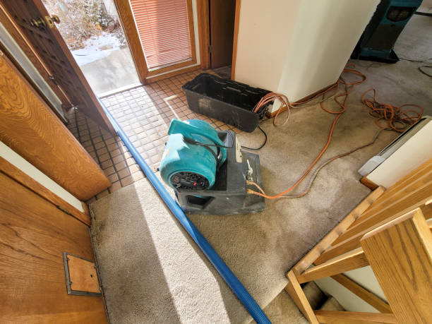 Best Basement water damage restoration  in Adams, WI
