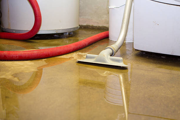 Best Commercial water damage restoration  in Adams, WI