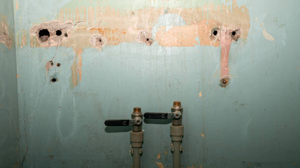 Best Local water damage restoration  in Adams, WI